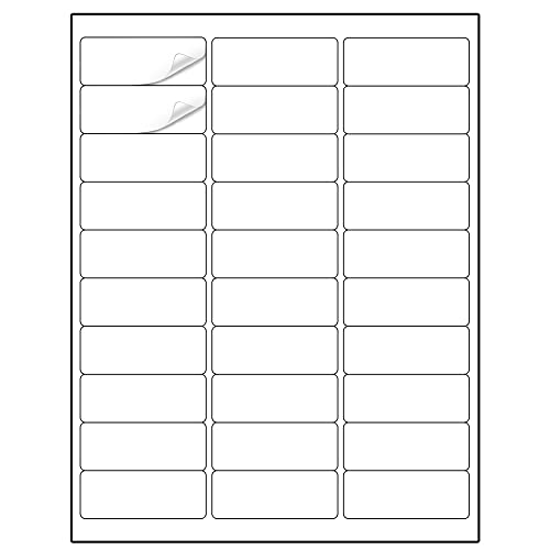 blank